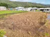 36 Reefs Edge Way, Kewarra Beach, Qld 4879-Image