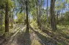 36 The Avenue, Jamieson, Vic 3723-Image