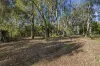 36 The Avenue, Jamieson, Vic 3723-Image