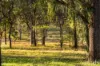 36 Wisemans Way, Sedgefield, NSW 2330-Image