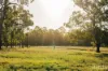 36 Wisemans Way, Sedgefield, NSW 2330-Image