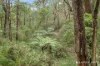 360 Dickie Road, Officer, Vic 3809-Image