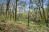360 Dickie Road, Officer, Vic 3809-Image