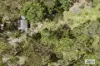 362 Wards Road, Glenwood, Qld 4570-Image