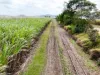 364 Cassar Road, Goolboo, Qld 4856-Image