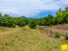 364 Coquette Point Road, Coquette Point, Qld 4860-Image