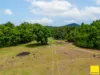364 Coquette Point Road, Coquette Point, Qld 4860-Image