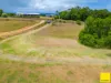 364 Coquette Point Road, Coquette Point, Qld 4860-Image