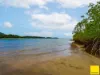 364 Coquette Point Road, Coquette Point, Qld 4860-Image