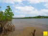 364 Coquette Point Road, Coquette Point, Qld 4860-Image