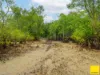 364 Coquette Point Road, Coquette Point, Qld 4860-Image
