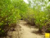 364 Coquette Point Road, Coquette Point, Qld 4860-Image