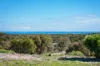 37 African Reef Boulevard, Greenough, WA 6532-Image