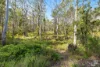 37 Collett Place, Meringo, NSW 2537-Image