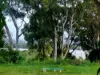 37 Hamilton Parade, Macleay Island, Qld 4184-Image