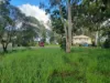 37 Hamilton Parade, Macleay Island, Qld 4184-Image