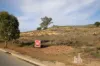 37 Marina Way, Mannum, SA 5238-Image