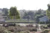 37 Marina Way, Mannum, SA 5238-Image