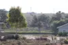 37 Marina Way, Mannum, SA 5238-Image