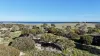 37 Meeinderry Drive, Perlubie, SA 5680-Image