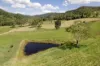 37 Platz Road, Kenilworth, Qld 4574-Image