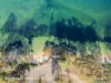 37 Pulfers Road, Dover, Tas 7117-Image
