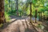 370 Old Warburton Road, Warburton, Vic 3799-Image