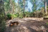 370 Old Warburton Road, Warburton, Vic 3799-Image