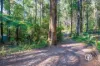 370 Old Warburton Road, Warburton, Vic 3799-Image