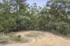 370 Sharpes Lane, Wheatsheaf, Vic 3461-Image
