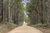 370 Sharpes Lane, Wheatsheaf, Vic 3461-Image