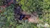 376 Marule Road, Booyal, Qld 4671-Image
