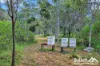 376 Marule Road, Booyal, Qld 4671-Image