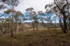 379 Sheepstation Forest Road, Gingkin, NSW 2787-Image