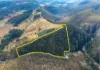 379 Sheepstation Forest Road, Gingkin, NSW 2787-Image