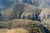 379 Sheepstation Forest Road, Gingkin, NSW 2787-Image