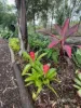 38-42 Colman Crescent, Burrum River, Qld 4659-Image