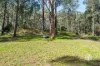 38 Fisherman Drive, Reefton, Vic 3799-Image