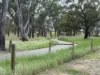 38. Furphy Avenue, Kialla, Vic 3631-Image