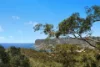 38 Harcourt Place, North Avoca, NSW 2260