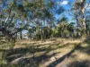 38 Medora Street, Pontypool, Tas 7190-Image
