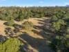 38 Medora Street, Pontypool, Tas 7190-Image