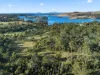 38 Medora Street, Pontypool, Tas 7190-Image