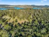 38 Medora Street, Pontypool, Tas 7190-Image