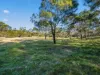 38 Medora Street, Pontypool, Tas 7190-Image