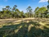 38 Medora Street, Pontypool, Tas 7190-Image