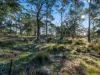 38 Medora Street, Pontypool, Tas 7190-Image