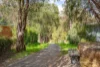 38 Merlot Place, Margaret River, WA 6285-Image