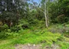 38 Murray Road, Cardiff, NSW 2285-Image
