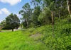 38 Murray Road, Cardiff, NSW 2285-Image